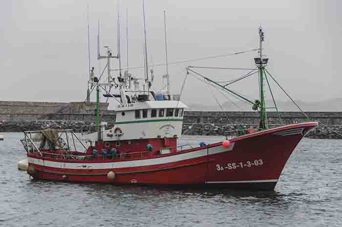 Guipúzcoa - Hondarribia 32 - puerto pesquero.jpg